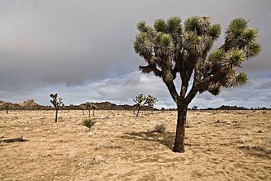 《最终幻想7：重生》Zack可玩 一半故事是新的